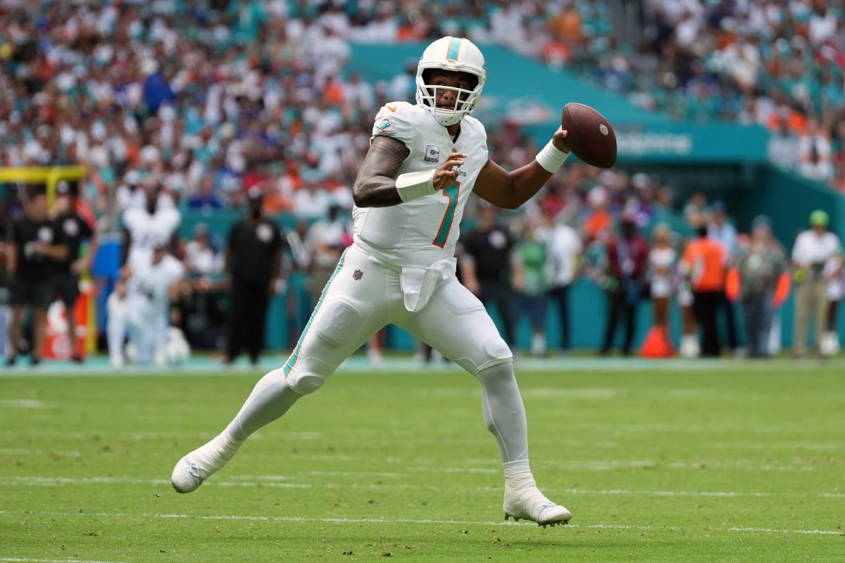 Dolphins Panthers Tipp